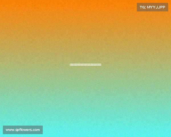 网球比赛全流程详解从热身到决胜局精彩瞬间解析